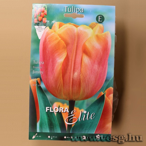 Tulip�n /Jimmy/ 10db