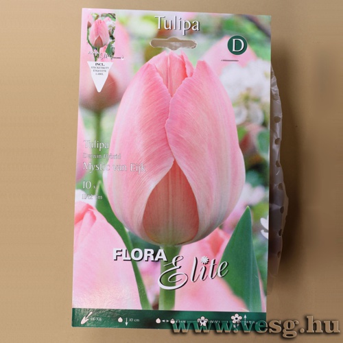 Tulip�n /Mystic Van Eijk/ 10db