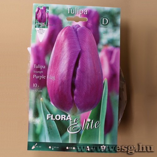 Tulip�n /Purple Flag/ 10db