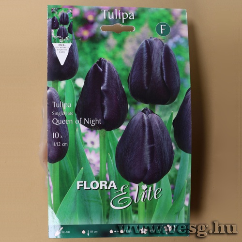 Tulip�n /Queen of Night/ 10db