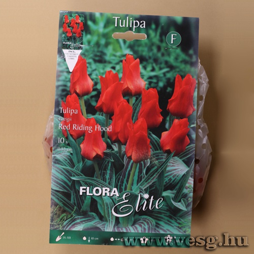 Tulip�n /Red Riding Hood/ 10db