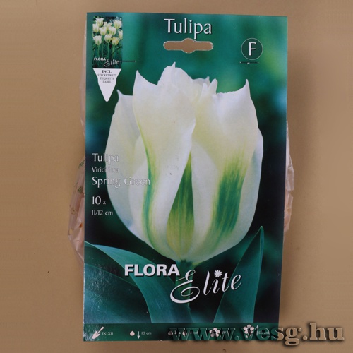 Tulip�n /Spring Green/ 10db