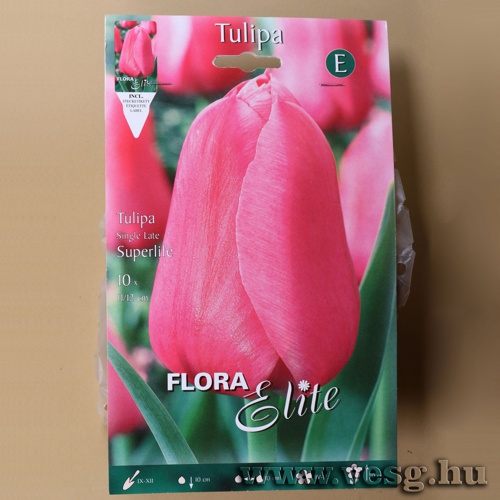 Tulip�n /Superlife/ 10db