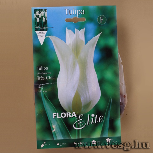 Tulipn /Trs Chic/ 10db