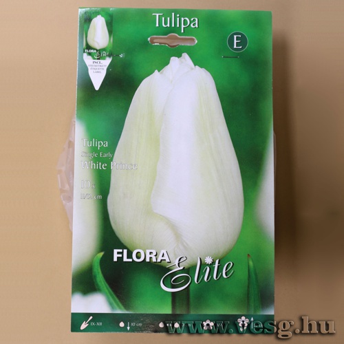 Tulip�n /White Prince/ 10db