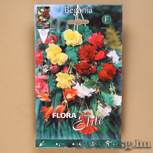 Begónia / Csüngő - Színkeverék / 3db