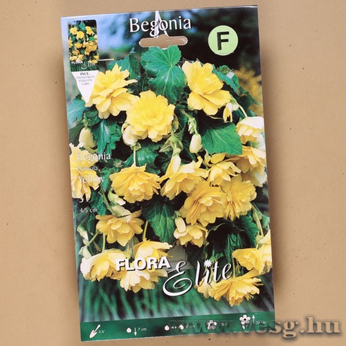 Begónia / Csüngő - Sárga / 3db