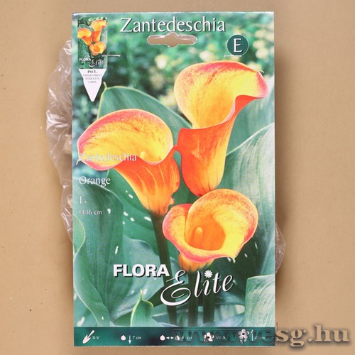 K�la / Narancs / 1db