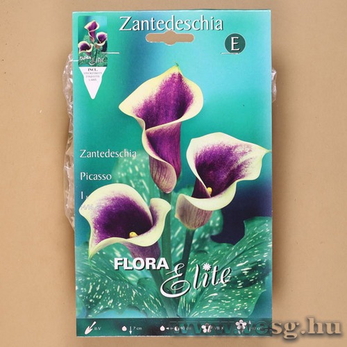 K�la / Picasso / 1db