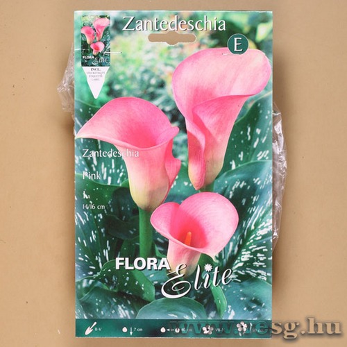 K�la / R�zsasz�n / 1db