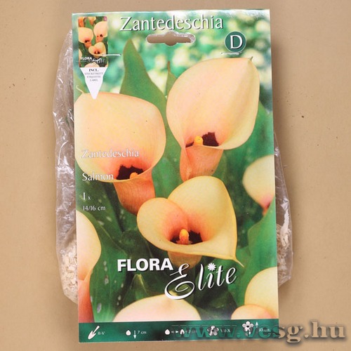 K�la / Salmon / 1db