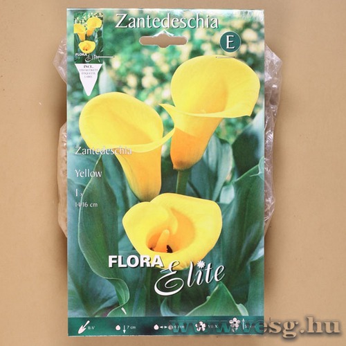 K�la / S�rga / 1db