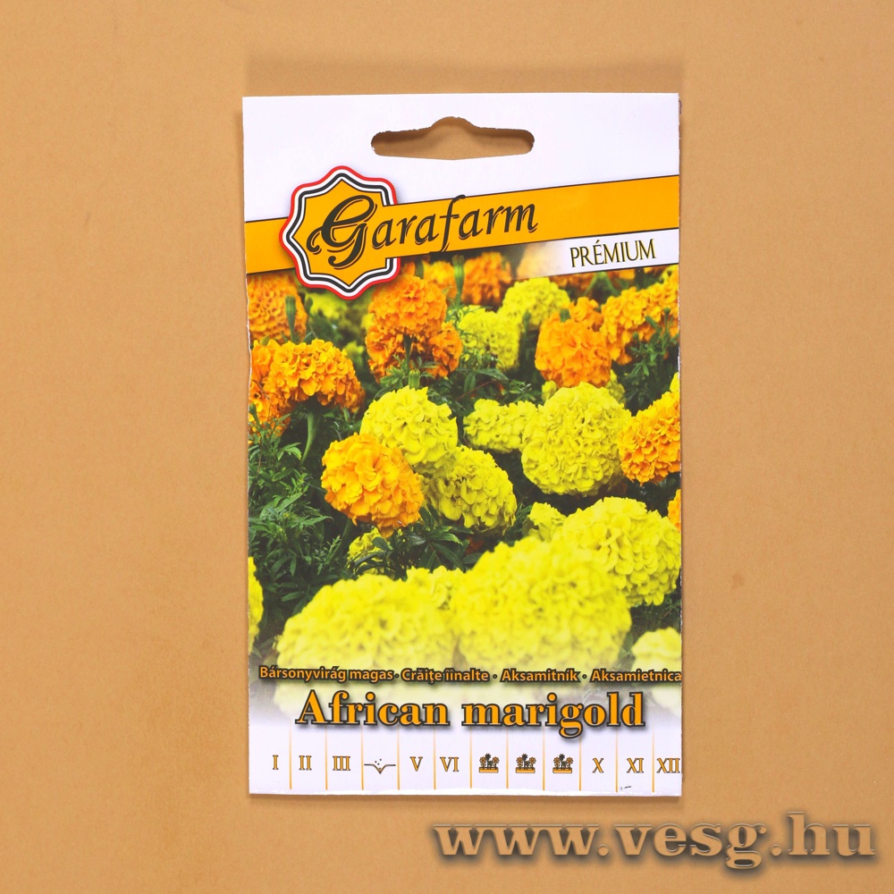 Nagyvir�g� B�rsonyvir�g - Magas - Sz�nkever�k 1 g