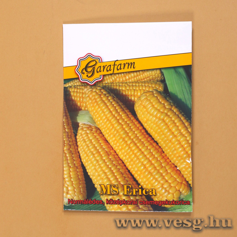 Csemegekukorica - MS Erica 6 szem