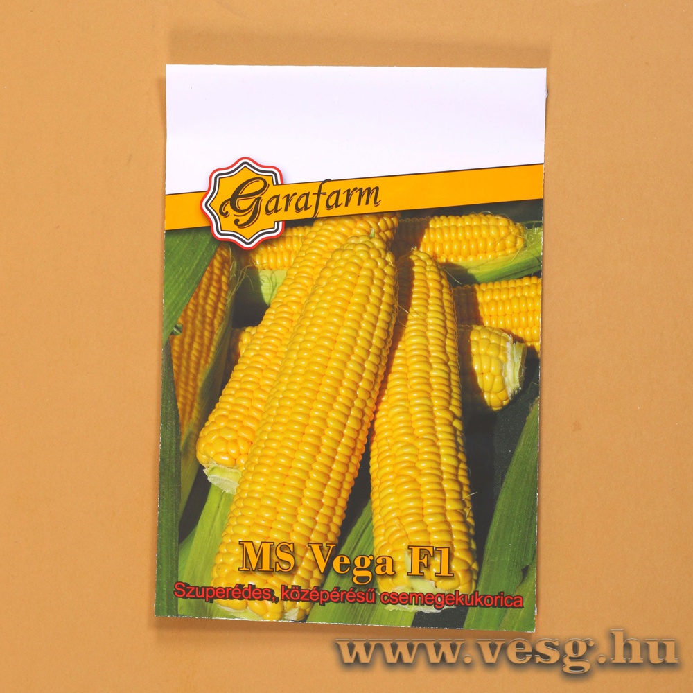 Csemegekukorica - MS Vega F1 - 6 szem