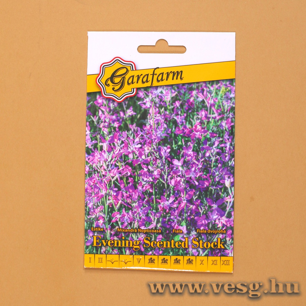 Estike - G�r�gviola 1 g