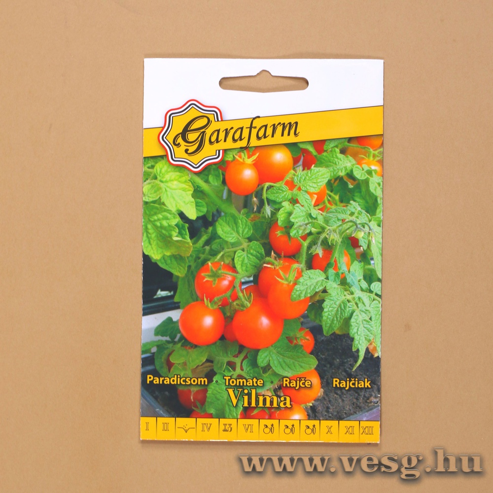 Paradicsom - Vilma  0,25 g
