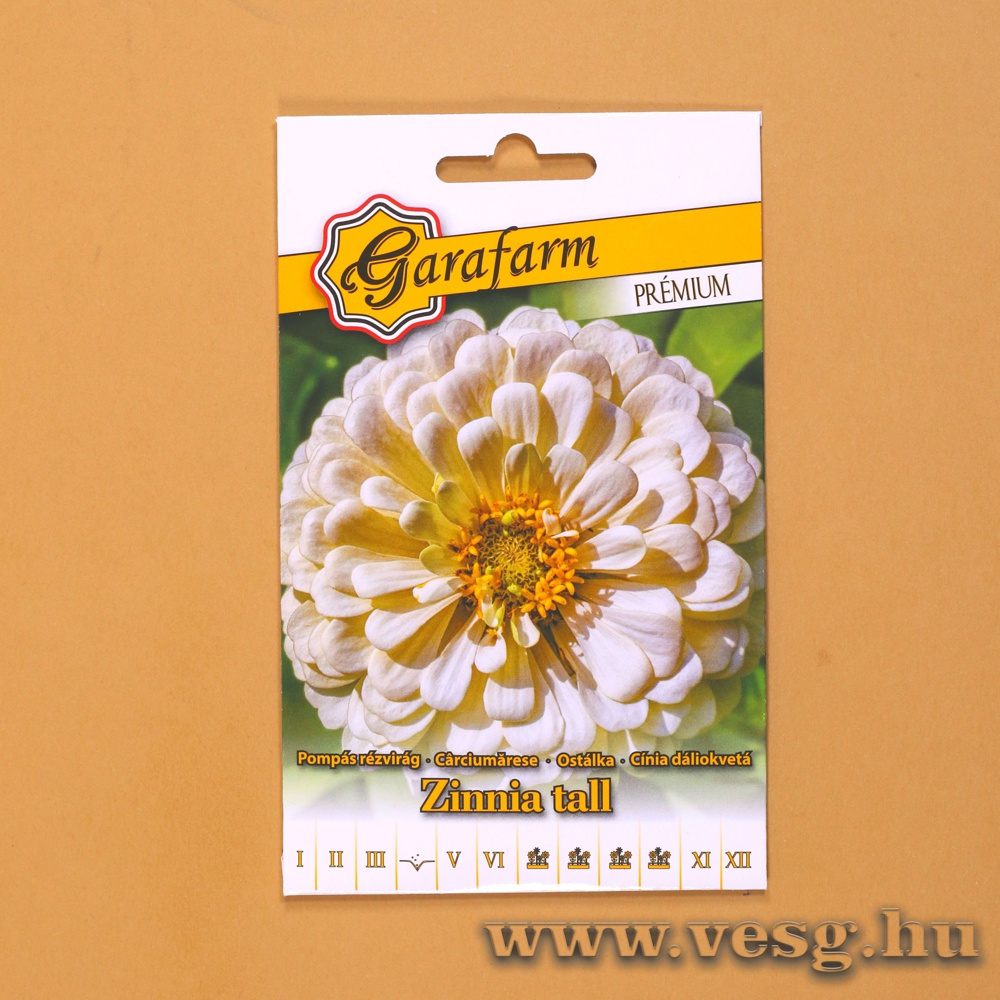 Pomps Rzvirg - Dliavirg - Fehr 1 g