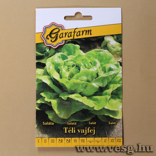 Sal�ta - T�li Vajfej 2 g