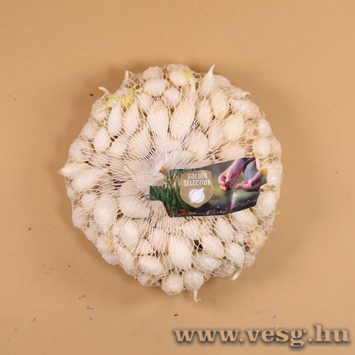 Dughagyma - Snowball - 500 g