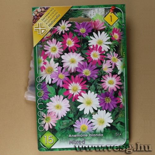 Csinos Szell�r�zsa - Sz�nkever�k 15 db