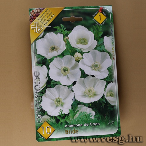 Koron�s Szell�r�zsa - Bride 10 db
