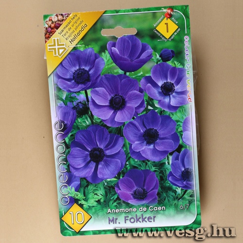 Koron�s Szell�r�zsa - Mr. Fokker 10 db