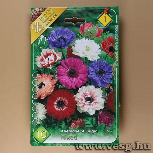 Teltvir�g� Koron�s Szell�r�zsa - Sz�nkever�k 10 db