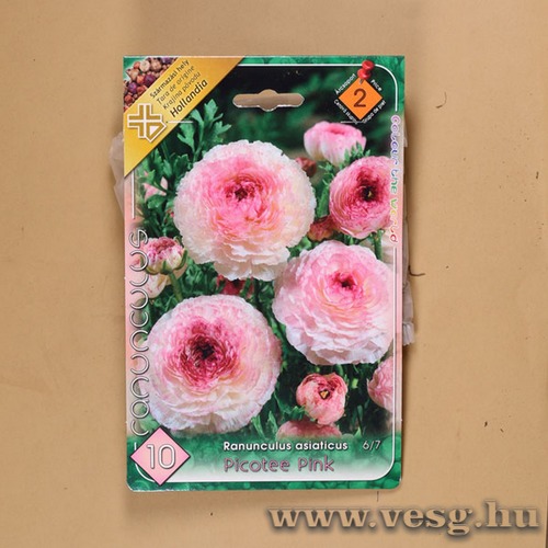 �zsiai Bogl�rka - Picotee Pink 10 db