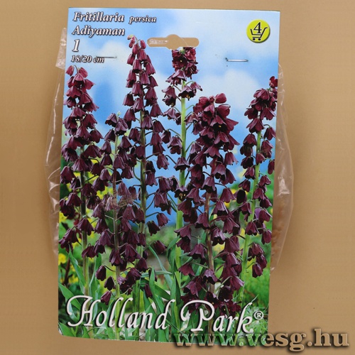 Perzsa Császárkorona - Adiyaman 1 db