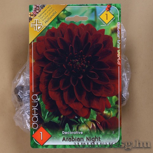 D�lia - Arabian Night 1 db