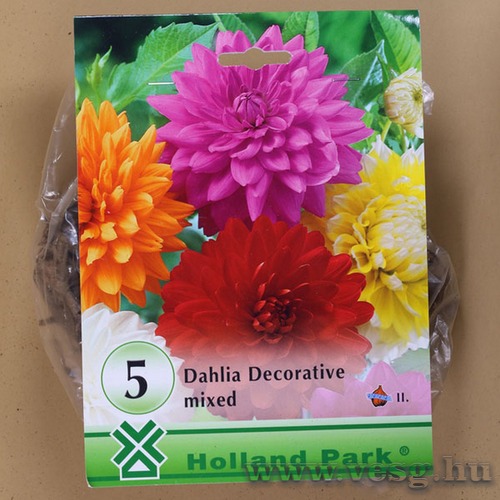 D�lia / Dekorat�v Sz�nkever�k / 5db