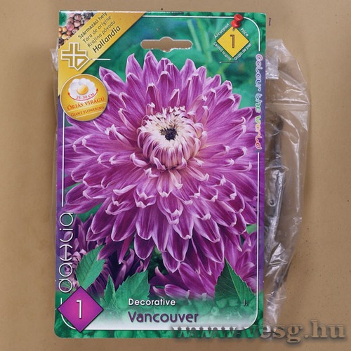 Dlia - Vancouver 1 db