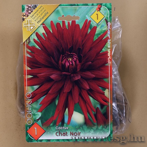D�lia - Chat Noir 1 db