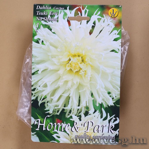 Dlia - Tsuki Yori No Shisha 1 db