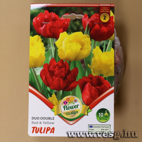 Tulip�n Duo Dupla - Red and Yellow 6 db