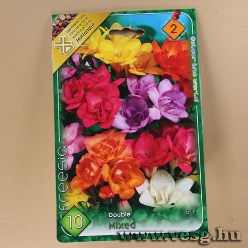 Frézia - Dupla - Színkeverék 10 db