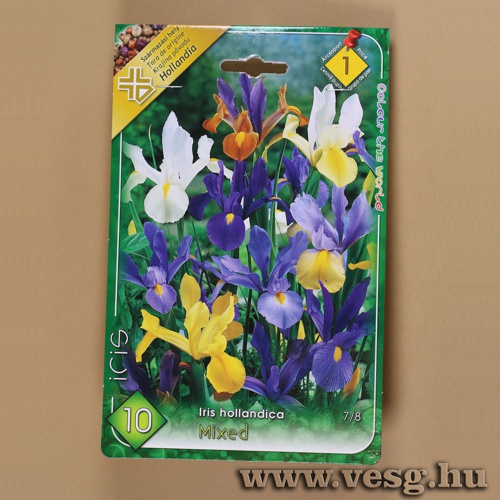 N�szirom - Hollandica - Sz�nkever�k 10 db