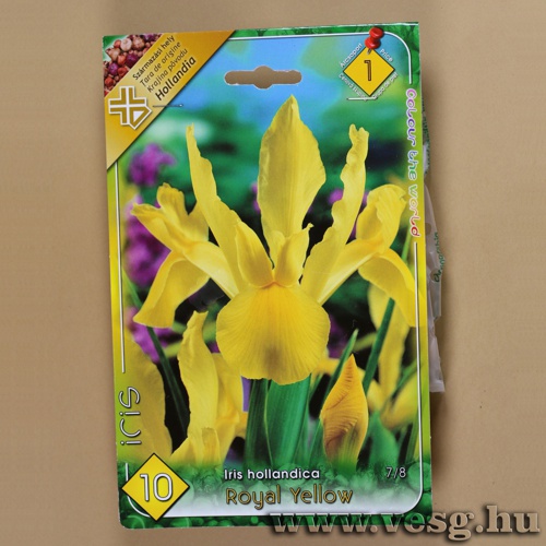 N�szirom - Royal Yellow 10 db