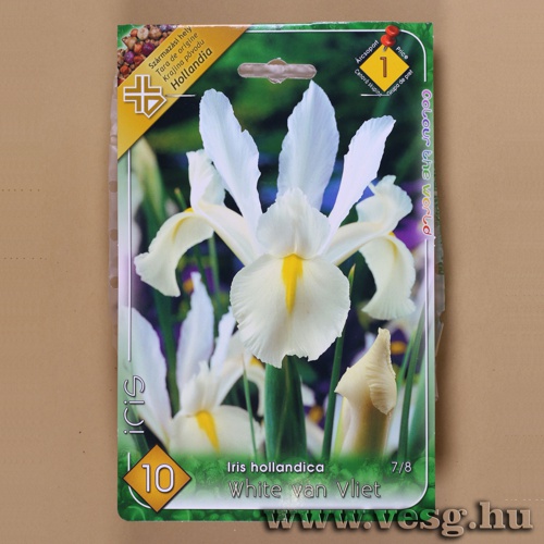 Nszirom - White Van Vliet 10 db