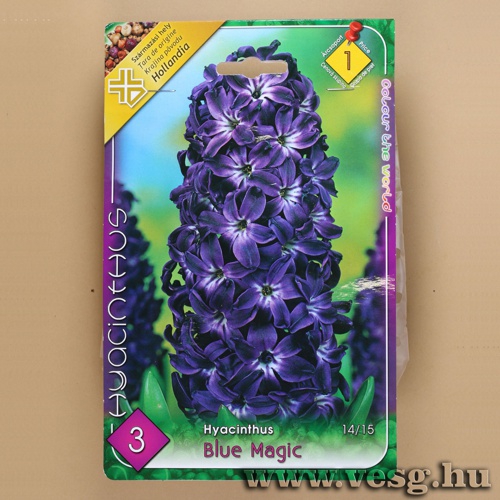 J�cint - Blue Magic 3 db