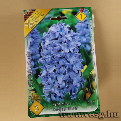 Jcint - Delfts Blue 3 db