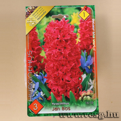 J�cint - Jan Bos 3 db