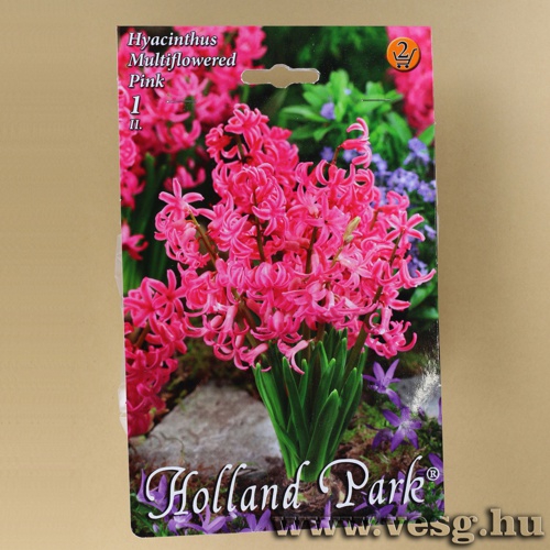 Csokros J�cint - R�zsasz�n 1 db