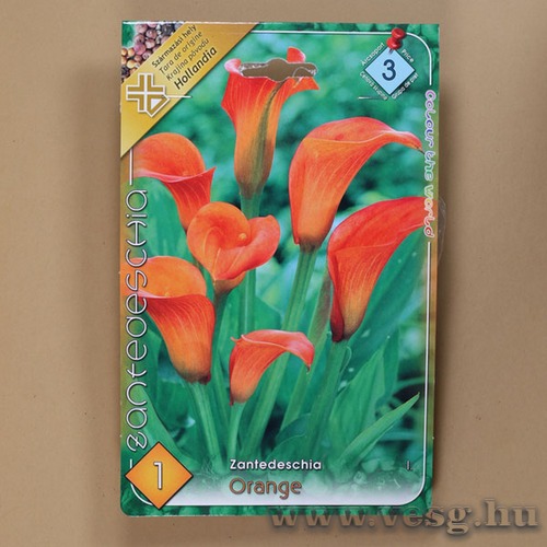 K�la / Narancs / 1db