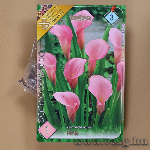 K�la / R�zsasz�n / 1db