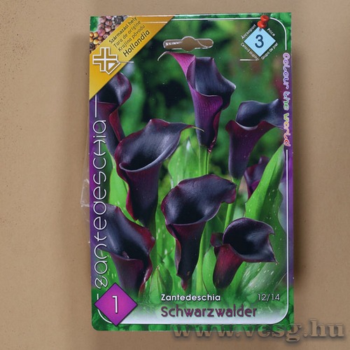 K�la / Schwarzwalder / 1db