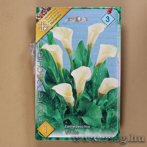 K�la / Feh�r / 1db