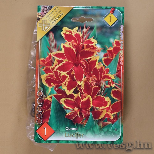 Kannavir�g / Lucifer / 1db