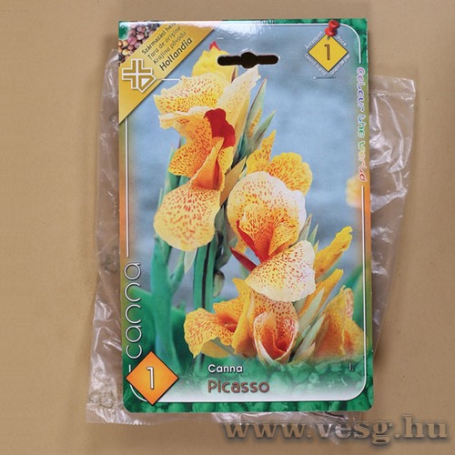 Kannavir�g / Picasso / 1db